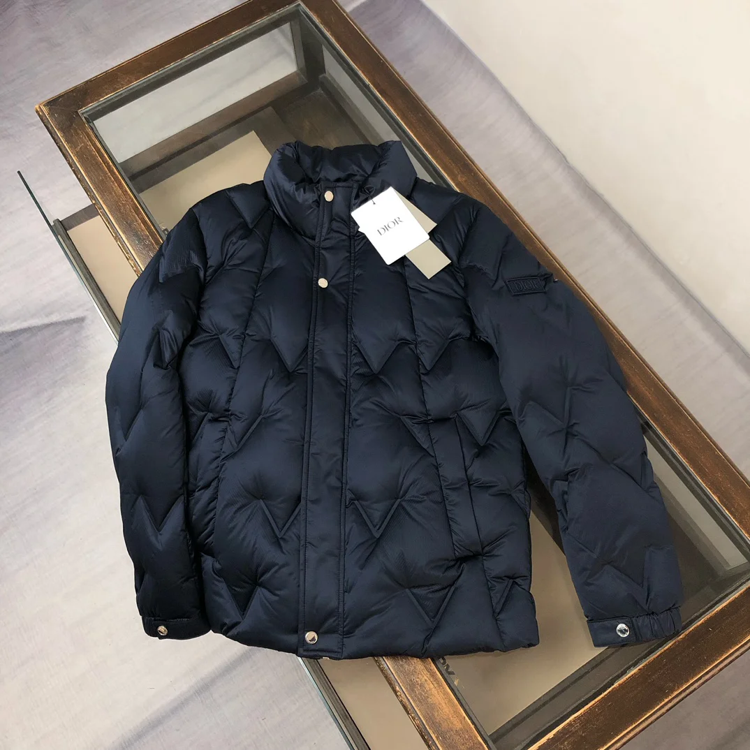Dior 2025 AW New Down Jackets (Black, Apricot, Royal Blue)