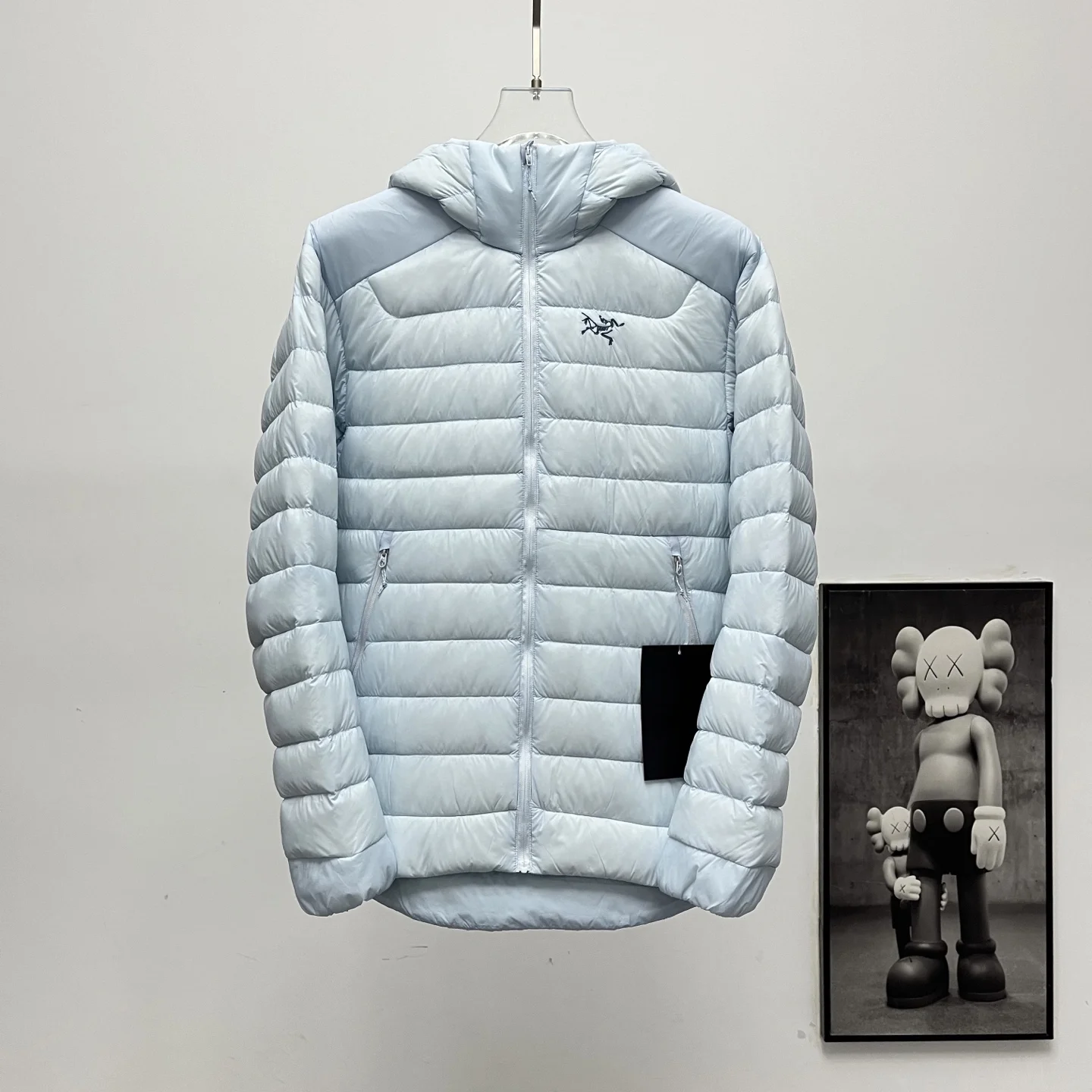 ARCTERYX Cerium Hoody Down Jacket (90% Goose Down, Multi-Color)