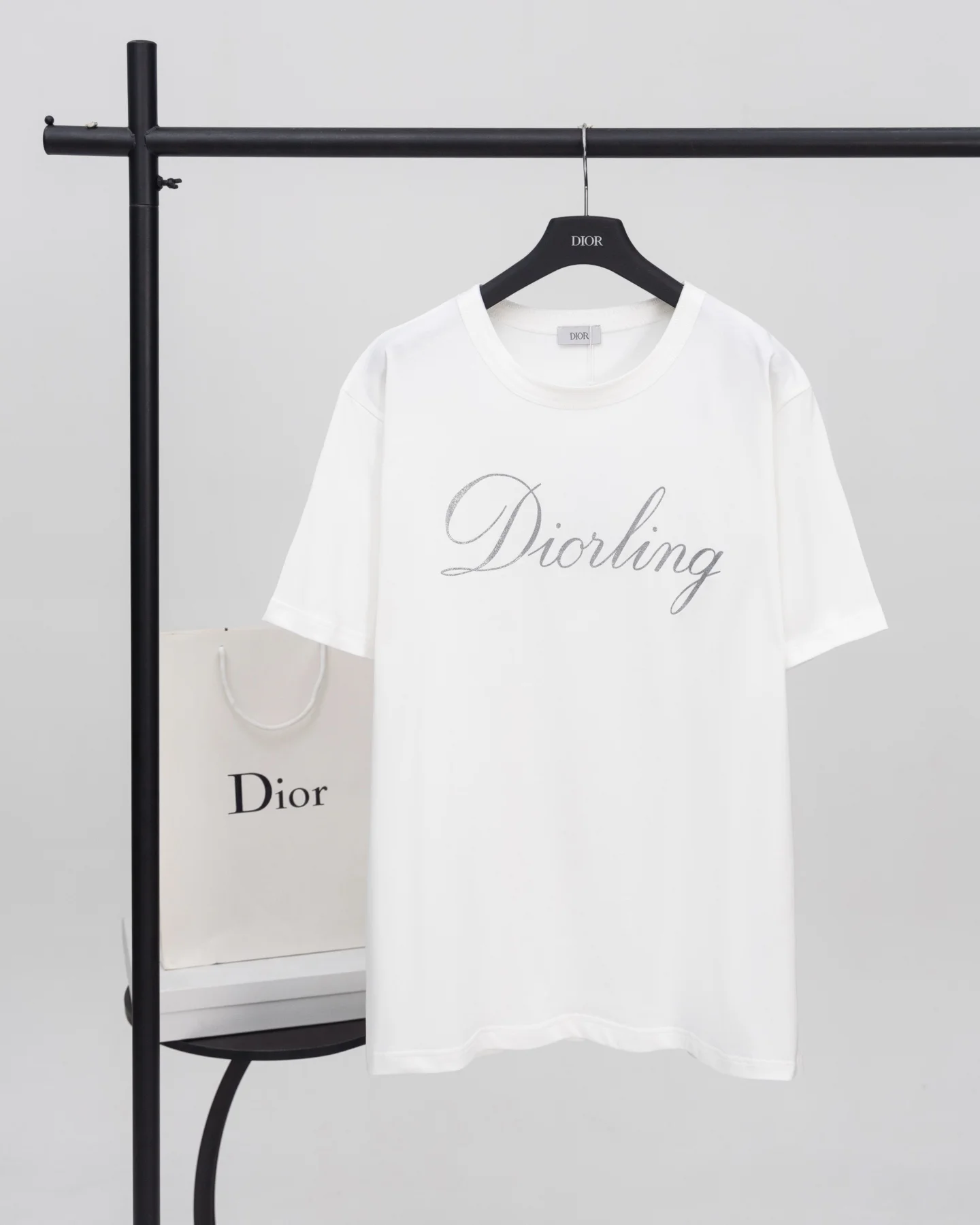 Dior 25FW White Shiny Silver "Diorling" T-Shirt