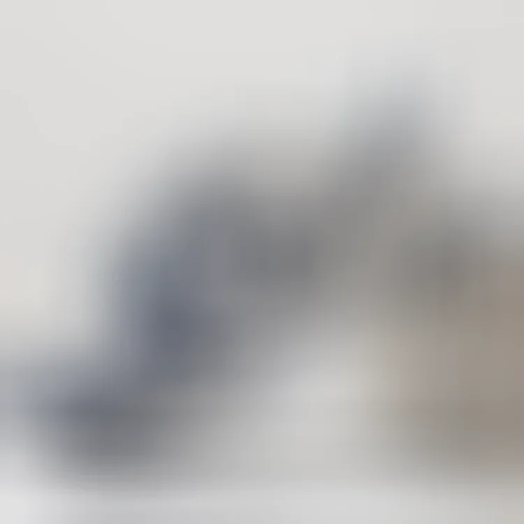 Nike Dunk Low Retro DIY Custom Shoes