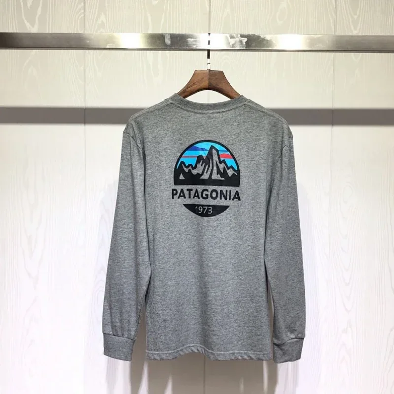 Patagonia Gray 1973 Mountain Logo T-Shirt